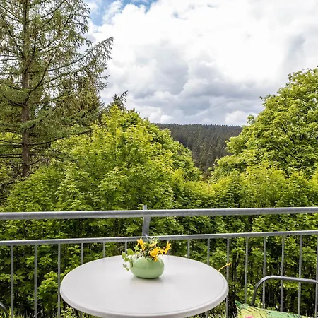 Tannenblick 6-1 Apartment Oberhof (Thuringia)