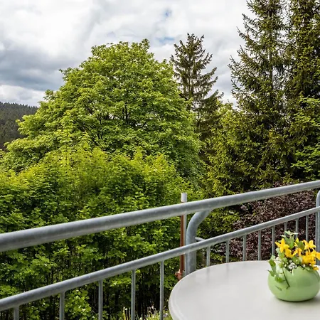 Apartament Tannenblick 6-1 Oberhof (Thuringia)