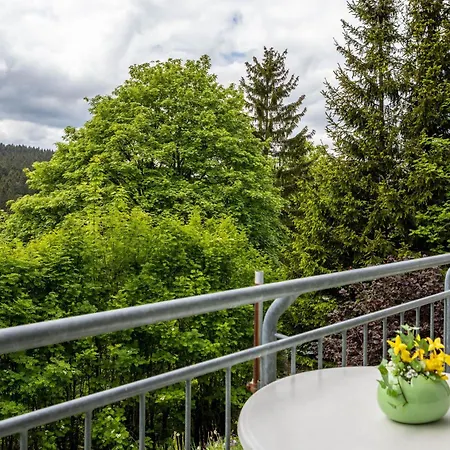 Tannenblick 6-1 Apartamento Oberhof (Thuringia)