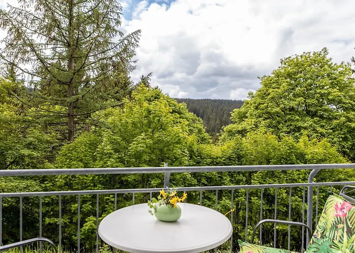 Tannenblick 6-1 アパート オーバーホーフ